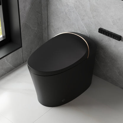 DeerValley Smart Toilet with Off-Seat Flush/Foot Sensor Flush, Automatic Tankless Toilet with Heated Seat, Warm Water Cleaning, Warm Air dryer,DV-1S0160/V1/V3