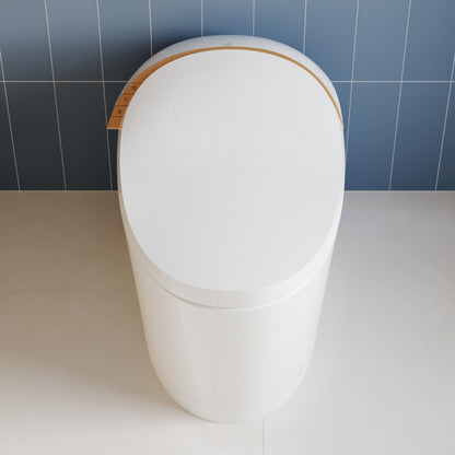 DeerValley Smart Toilet with Off-Seat Flush/Foot Sensor Flush, Automatic Tankless Toilet with Heated Seat, Warm Water Cleaning, Warm Air dryer,DV-1S0160/V1/V3