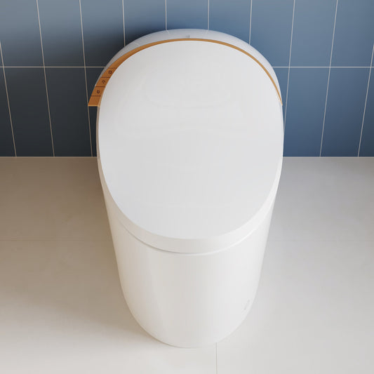 DeerValley Smart Toilet with Off-Seat Flush/Foot Sensor Flush, Automatic Tankless Toilet with Heated Seat, Warm Water Cleaning, Warm Air dryer,DV-1S0160/V1/V3