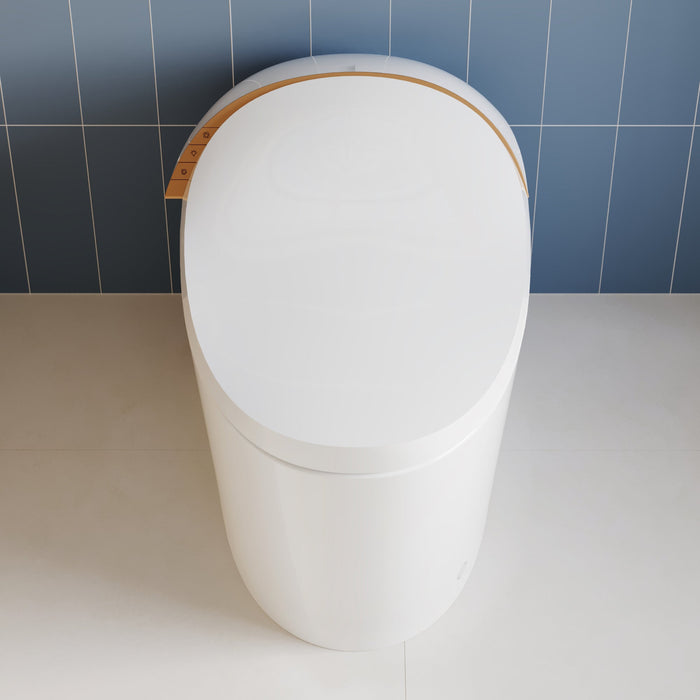 DeerValley Smart Toilet with Off-Seat Flush/Foot Sensor Flush, Automatic Tankless Toilet with Heated Seat, Warm Water Cleaning, Warm Air dryer,DV-1S0160/V1/V3