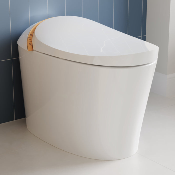 DeerValley Smart Toilet with Off-Seat Flush/Foot Sensor Flush, Automatic Tankless Toilet with Heated Seat, Warm Water Cleaning, Warm Air dryer,DV-1S0160/V1/V3