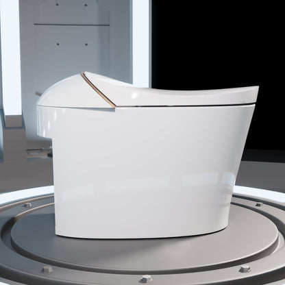 DeerValley Smart Toilet with Off-Seat Flush/Foot Sensor Flush, Automatic Tankless Toilet with Heated Seat, Warm Water Cleaning, Warm Air dryer,DV-1S0160/V1/V3