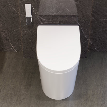 Smart Bidet Toilet with Auto Flush & Foam Shield Technology Modern Tankless Smart Toilet with Bidet, Warm Air Dryer, Heated Seat & Night Light (Remote Included) - DV-1S0289 / DV-1S0289-V3