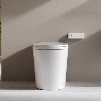 DeerValley DV-1S0371 Smart Toilet with ADA Height, Child-Friendly Wash Mode, Foam Shield, 1000 MAP Powerful Flush, Warm Water Cleansing, No Water Pressure Limit — One-Piece Design for Modern Bathrooms