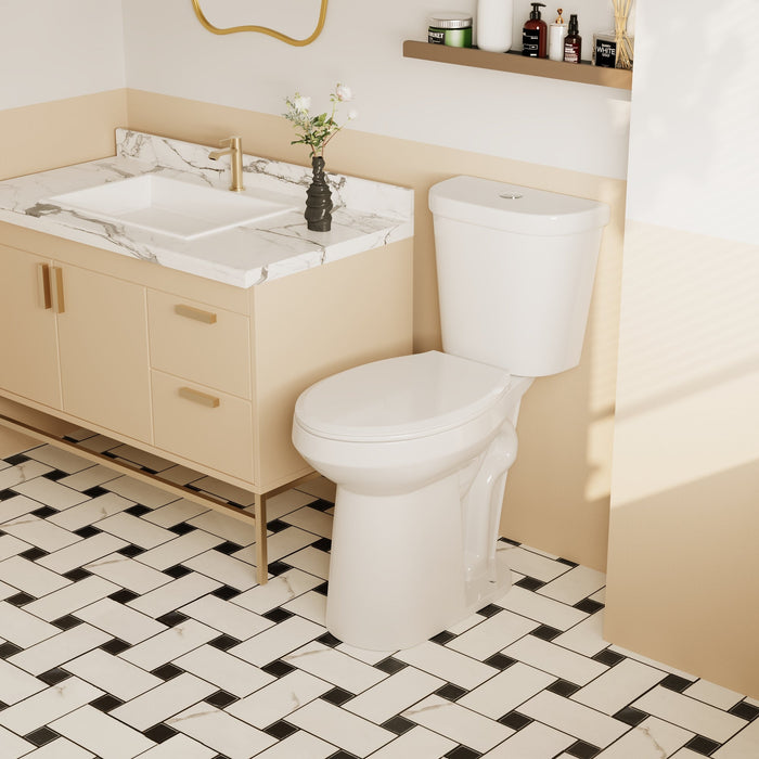 Two-Piece Elongated Toilet, 12" Rough-in Dual-Flush