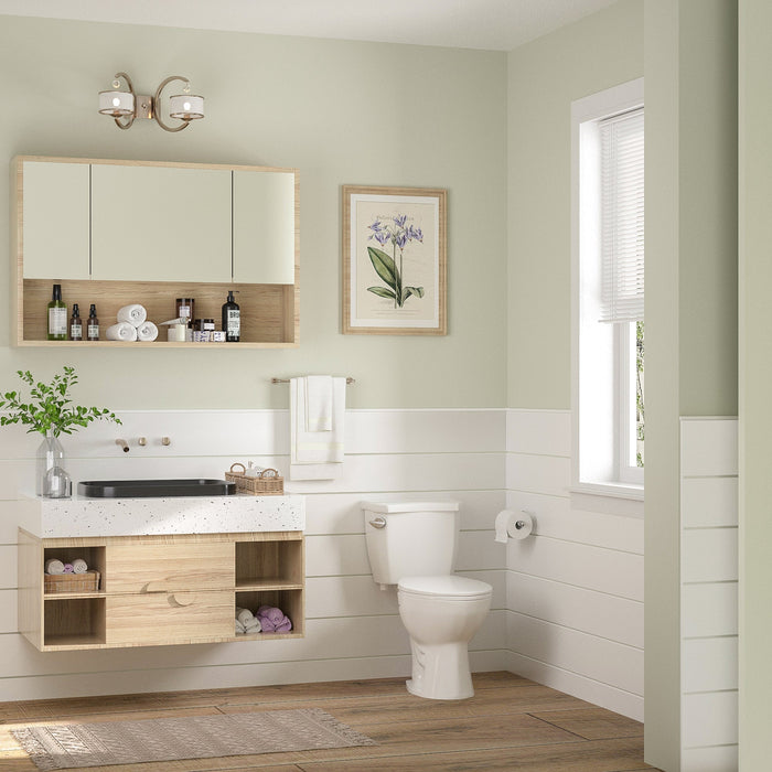 DYNASTY Two-Piece Elongated Toilet, 1.28GPF Single-Flush