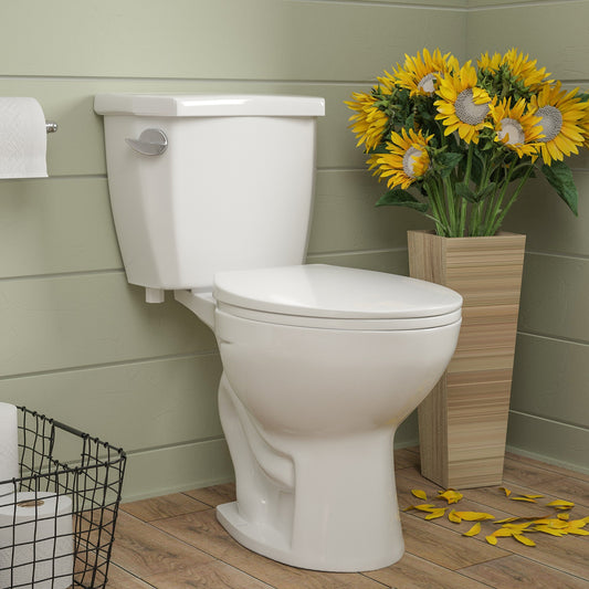 DYNASTY Two-Piece Elongated Toilet, 1.28GPF Single-Flush