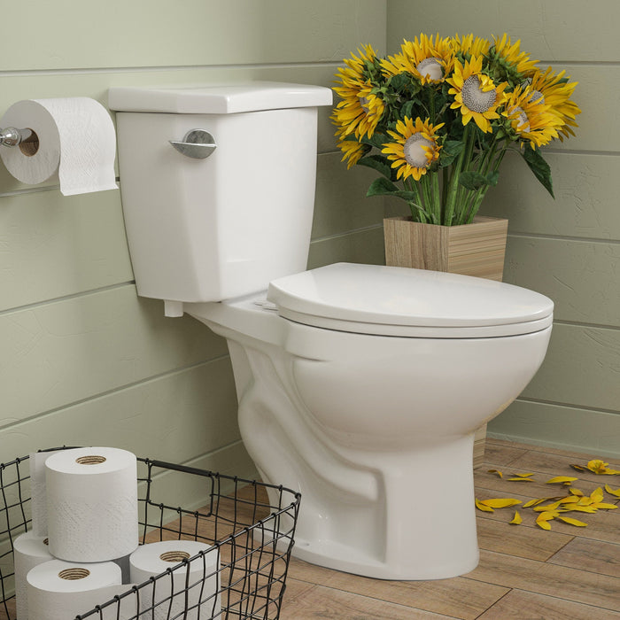 DYNASTY Two-Piece Elongated Toilet, 1.28GPF Single-Flush