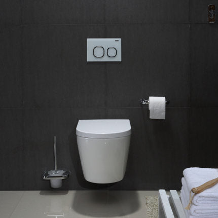 Tankless Toilet
