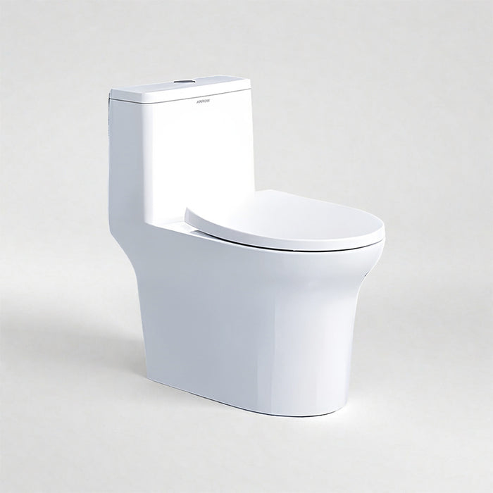 One Piece Toilet