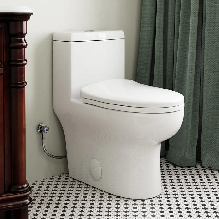 HOROW Dual Flush Toilet 12 Inch Rough In Toilet Model 76D