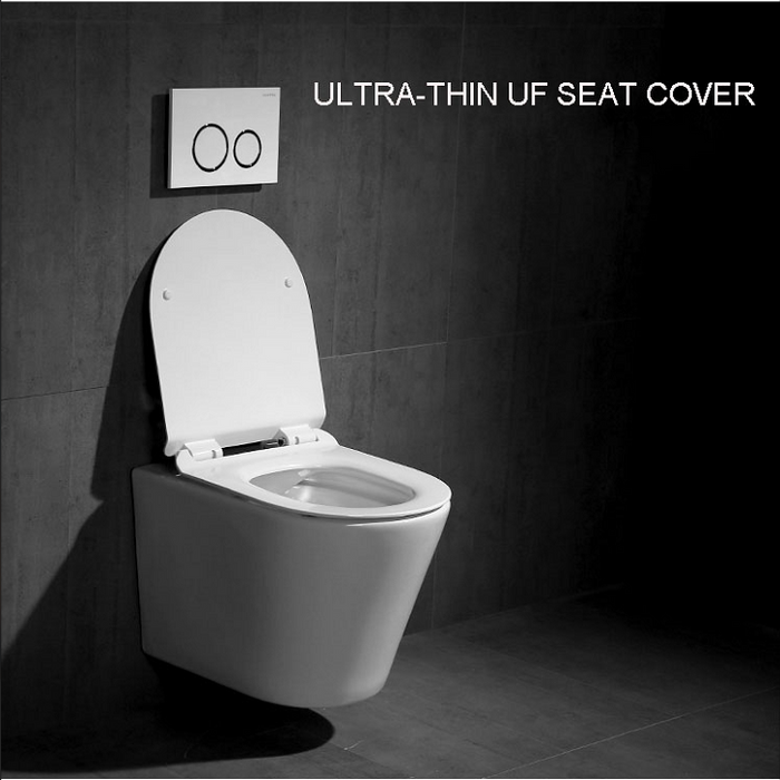 Tankless Toilet