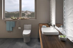 Aquia® IV Toilet - 1.28 GPF & 0.9 GPF, Elongated Bowl - WASHLET+ Connection - New