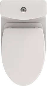 Aquia® IV One-Piece Toilet - 1.28 GPF & 0.9 GPF, Elongated Bowl - WASHLET+ Connection - New
