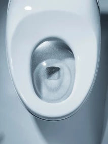 NEOREST® NX1 Dual-Flush Toilet - 1.0 GPF & 0.8 GPF