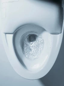 NEOREST® NX1 Dual-Flush Toilet - 1.0 GPF & 0.8 GPF