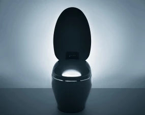 NEOREST® NX2 Dual-Flush Toilet - 1.0 GPF & 0.8 GPF