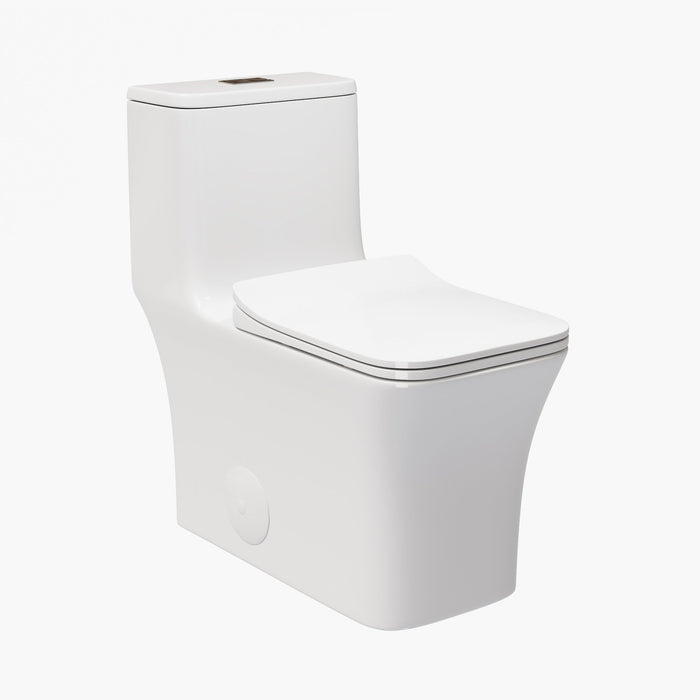 HOROW Best Water Efficient Toilet Elongated One Piece Toilet Model T0413W