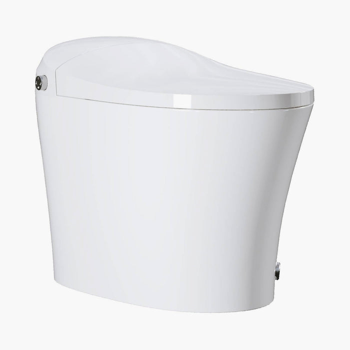 12 Inch Rough In Bidet Toilet with Automatic Flush Model T15