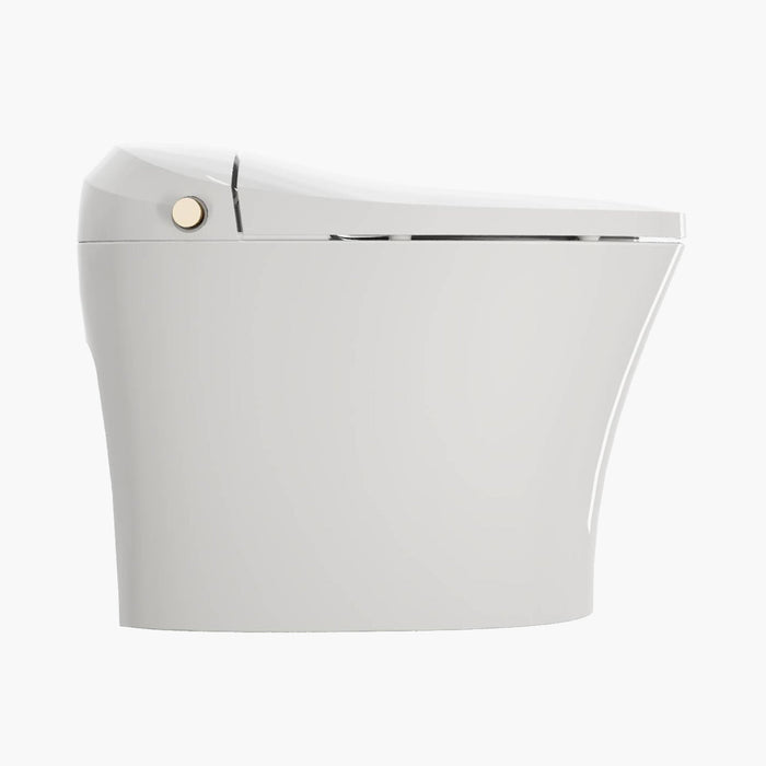 HOROW Best Bidet Toilet Automatic Flush Toilet Model T20