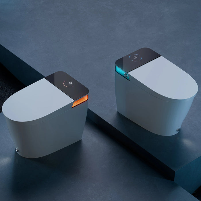 Bidet Combo Toilet with Mood Light for 12 Inch Rough In Model T38