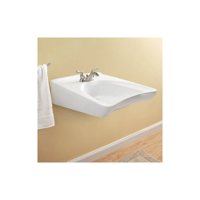 Commercial Wall-Mount Wheelchair User
