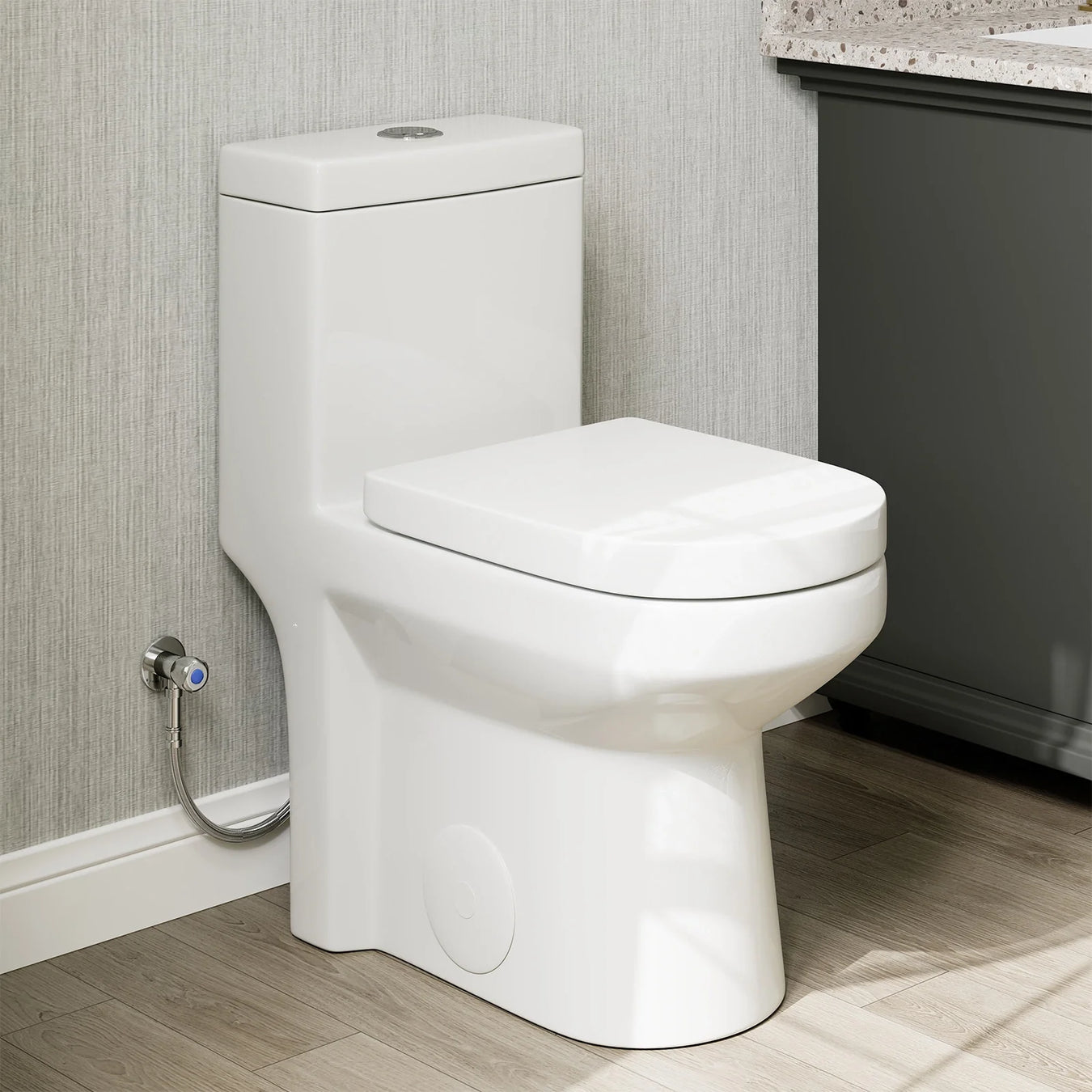 One Piece Toilets